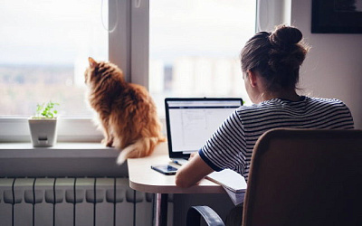 IT-компании рассказывают о традициях, которые у них появились с переходом на удалёнку